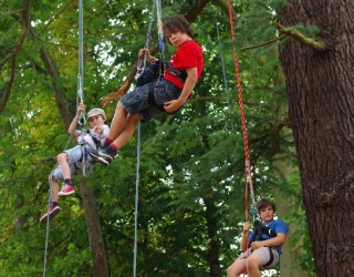  Colgar en el árboles en 33